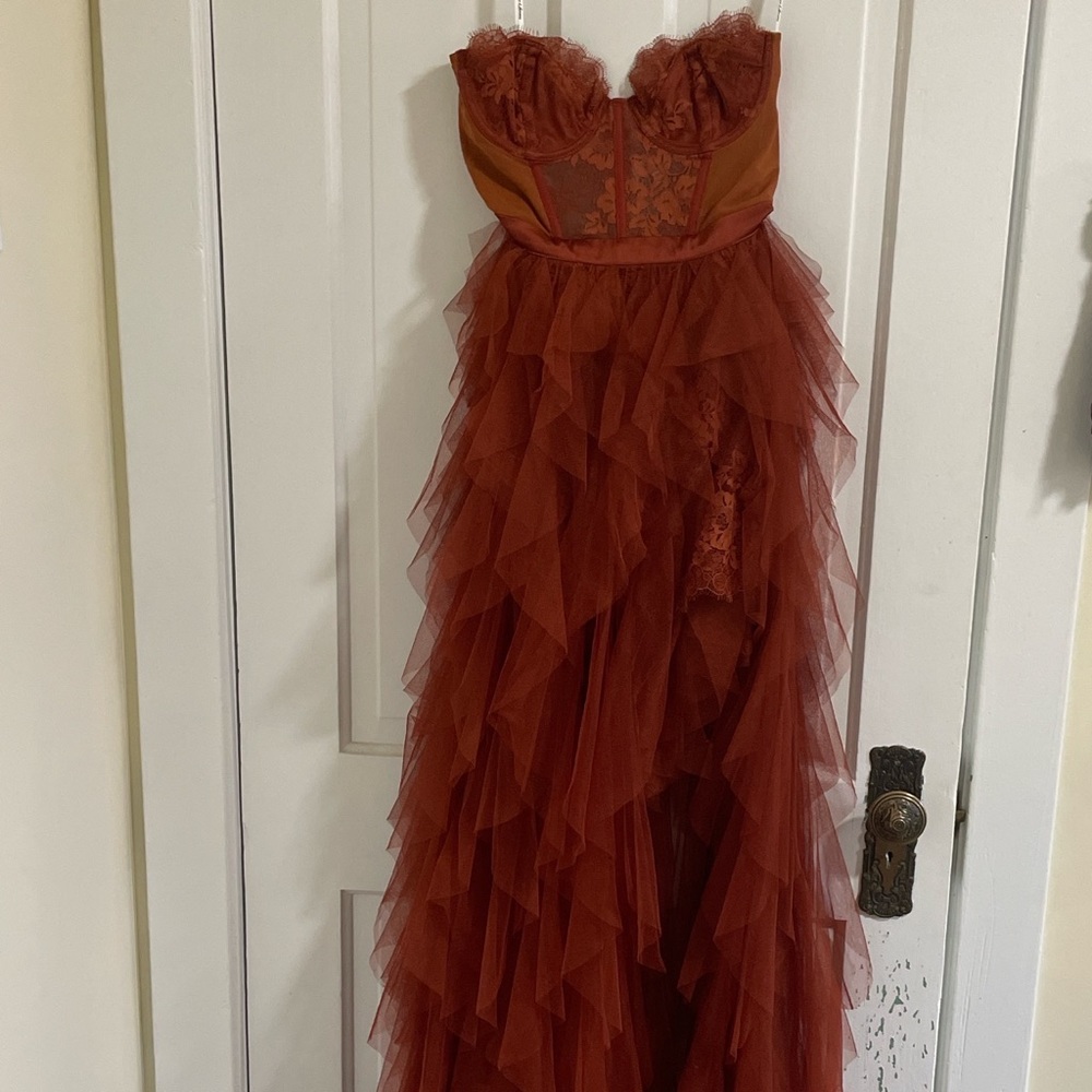 For Love & Lemons X Revolve Bustier Gown